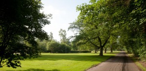 Van Wijnen_Diepstroeten_10